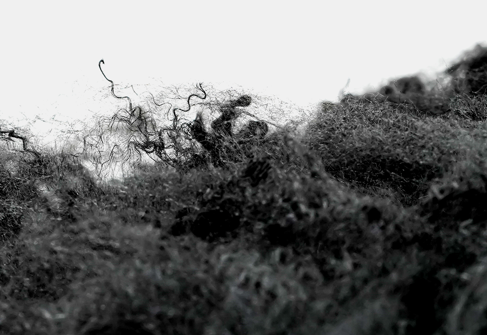 Preoxidized fiber (PANOF)